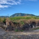 東側接面道路から撮影(外観)